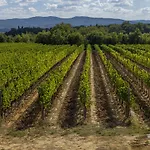 Il Borro Relais & Chateaux