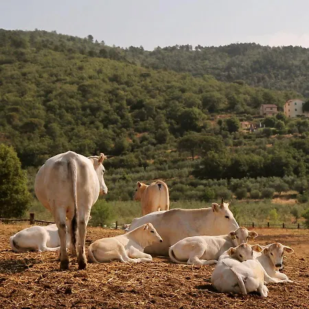 Ξενοδοχείο Il Borro Relais & Chateaux