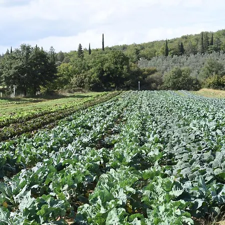 Il Borro Relais & Chateaux San Giustino Valdarno